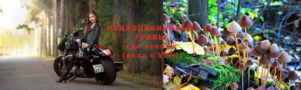 героин Алзамай